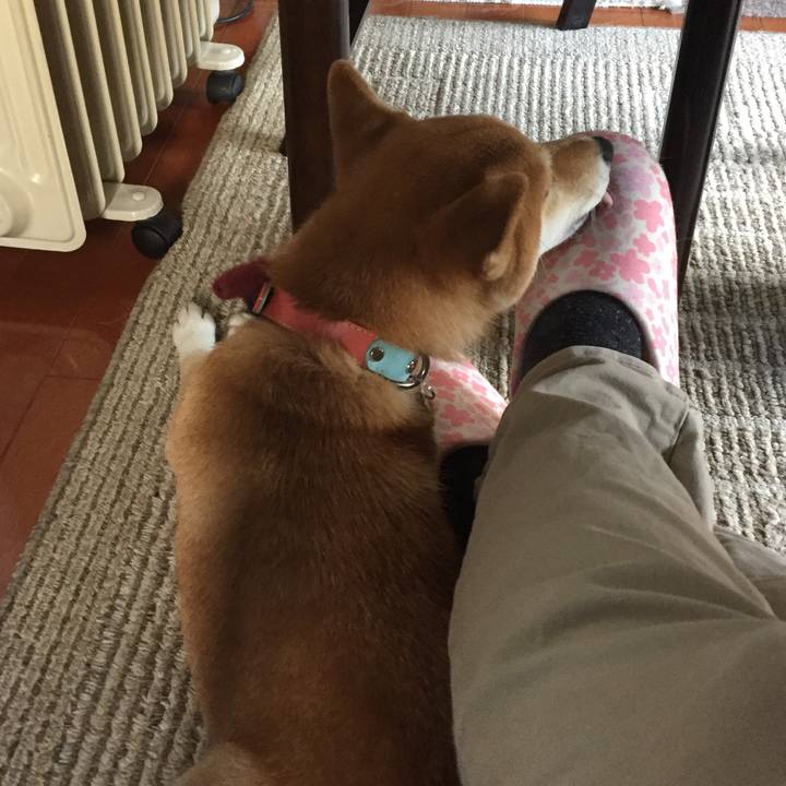 8d7bf52b 783d 490a ac47 9d3997aed6a0