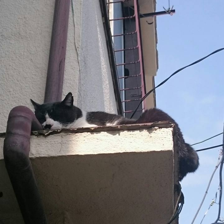 8d7c7398 8a4e 4d59 9b84 c22c996c355d