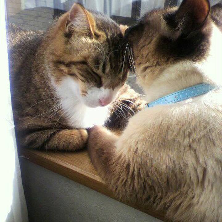 8d7c8764 8106 4d57 b16b 6fa7fdb6f13d