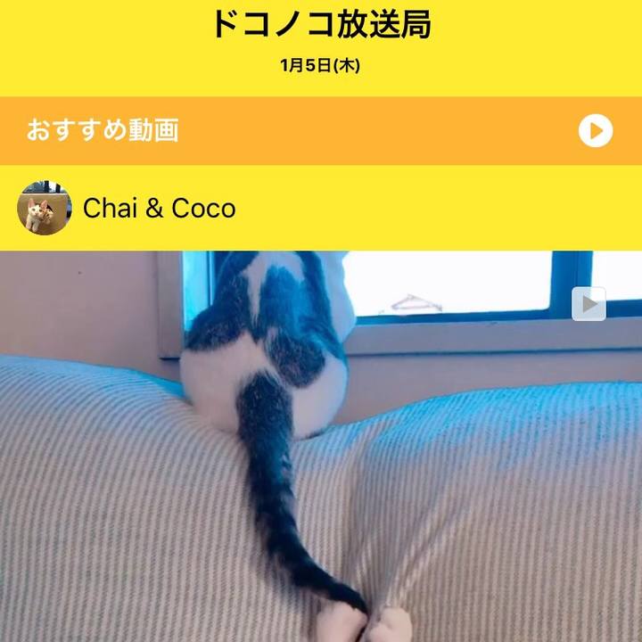 8d7cc3e0 417e 414e 8528 a629c9ac8606