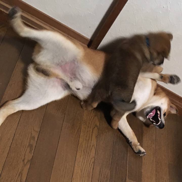 8d7d693e b6be 4b60 8075 4b8eaf14c94f