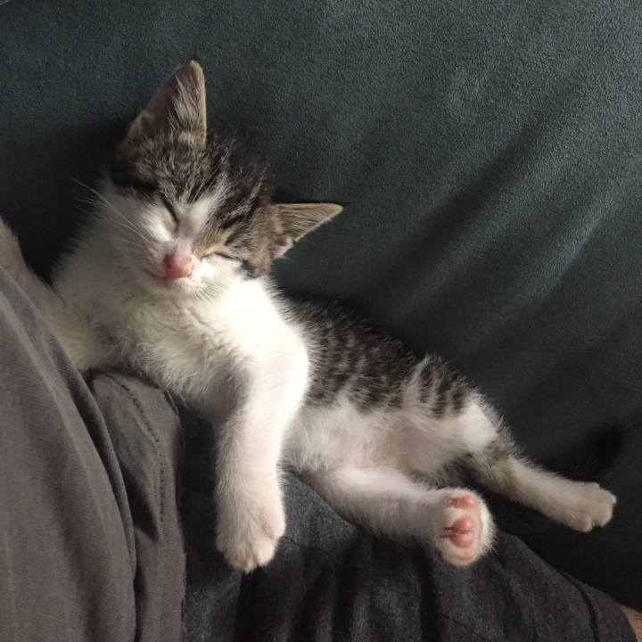 8d7e93db bfec 4813 9439 7fe12f4ac0de