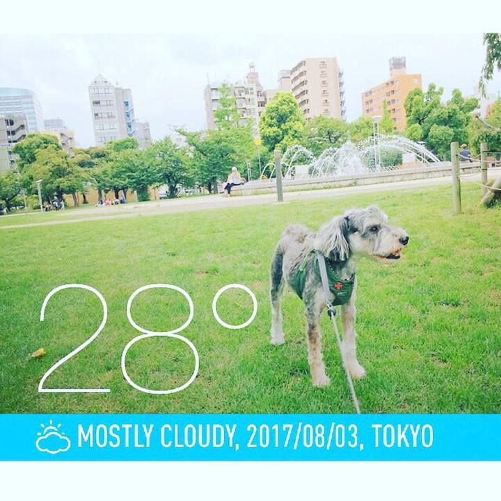 8d7eb801 886c 42aa 8974 50593486f66d