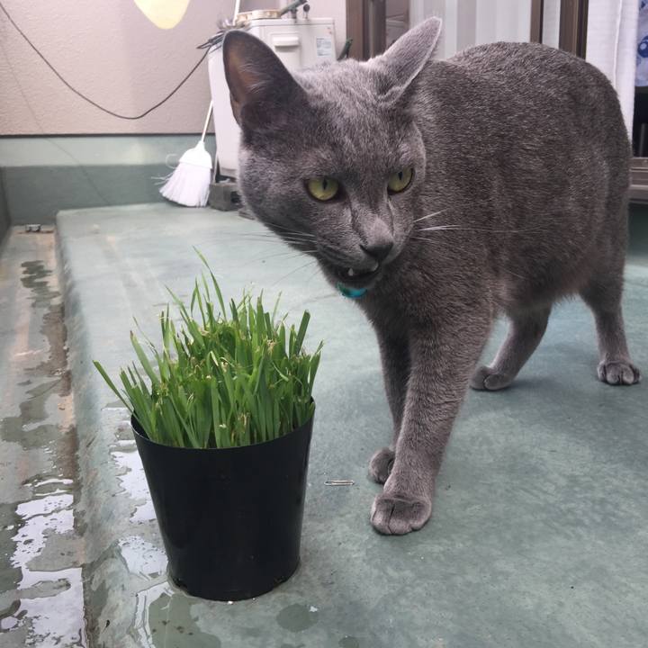 8d7f05c5 734b 486e a421 bbffb3c3c0be