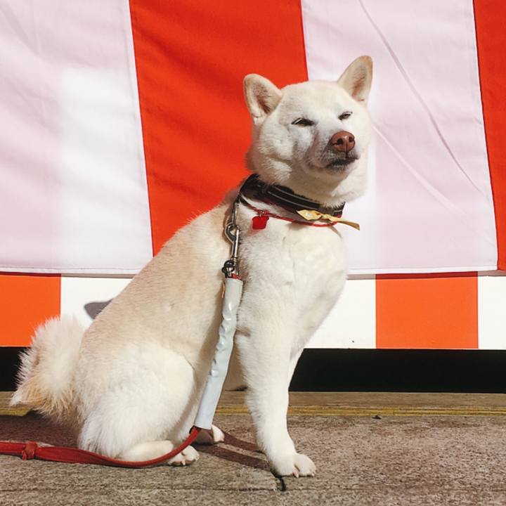 8d804fb4 2cae 459d b883 0de4bb69b8b0