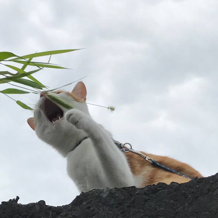 8d8116fa 2f07 46f6 a640 707db22f5fd7