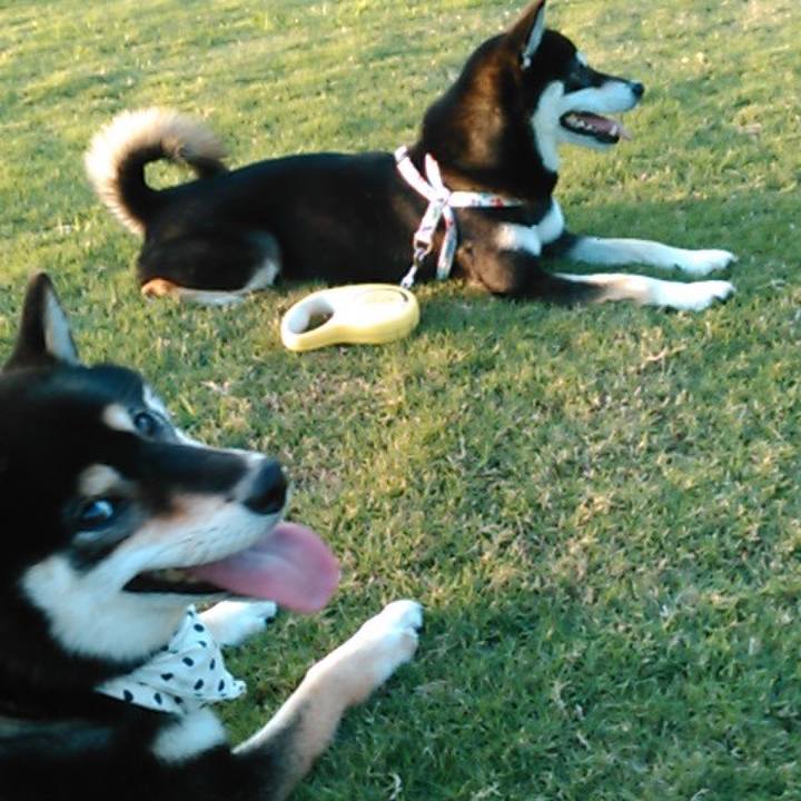 8d815f33 c69b 4e0f 9771 ecfbf4580b17