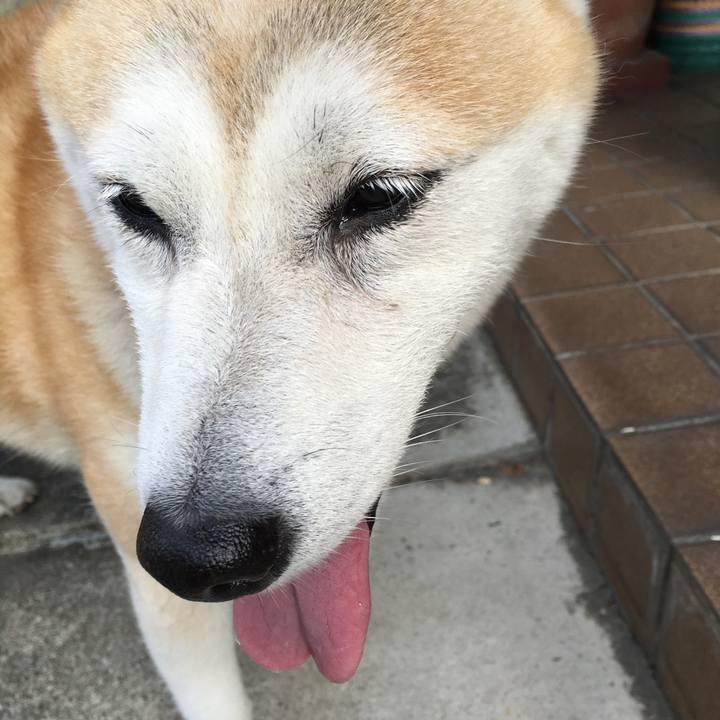 8d8188be cbec 4062 a69d e5f1bcf7d41e