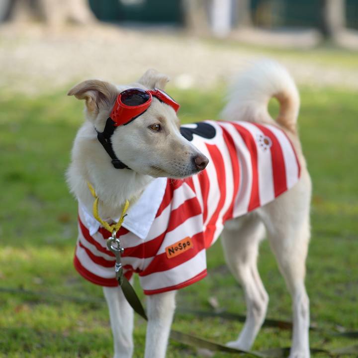 8d81ae45 6f99 406a 9e9c 0f210538213a