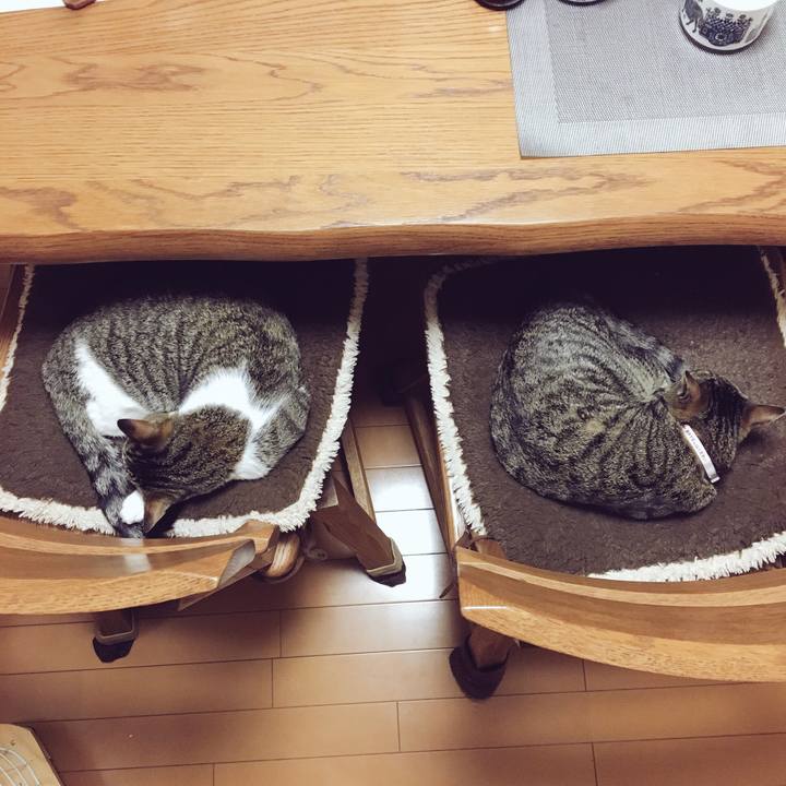 8d821064 3060 4843 9d85 48910048f6ae