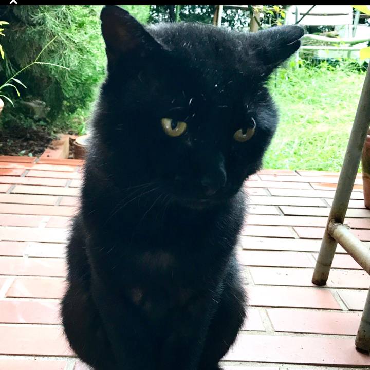 8d8215ce ceb0 4d08 8a4d e7330451a023