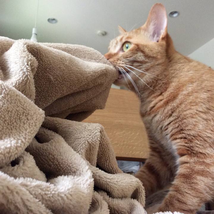 8d825502 f709 4bcd 90db 35a49ac9bf42