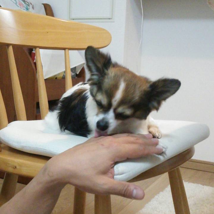 8d83fedf edd5 4091 a7b7 df6e023e6388