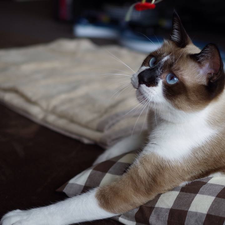 8d8443ed 30c5 4053 93a0 ae883d85a1e9