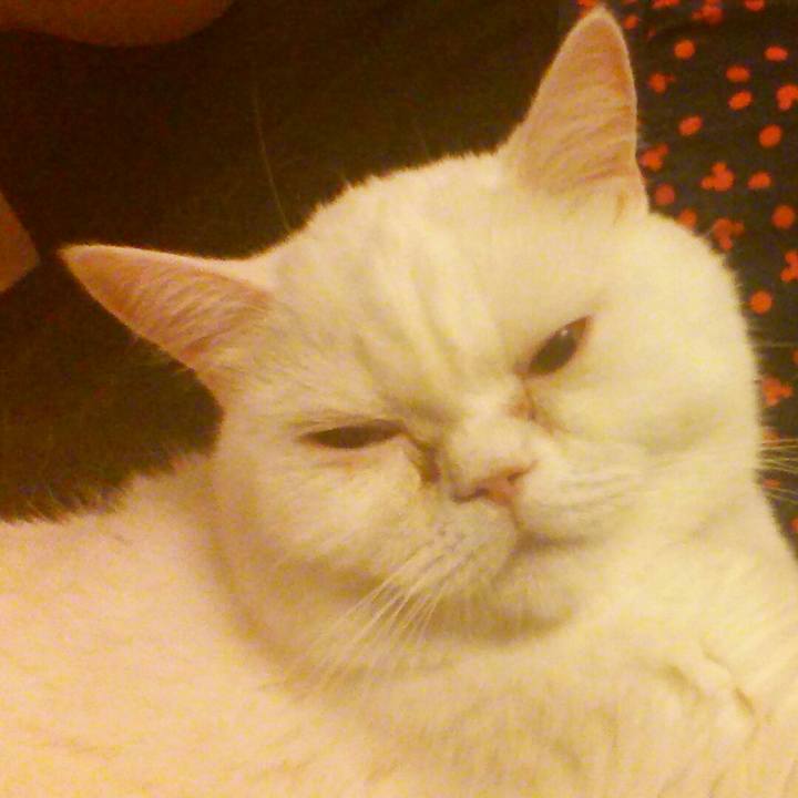 8d8617c5 43c0 49da a12c 4b142392402d