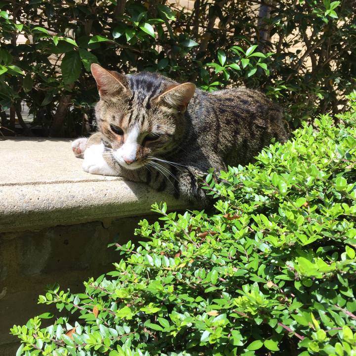 8d86cb71 56d3 480f b0c0 a7a846133613