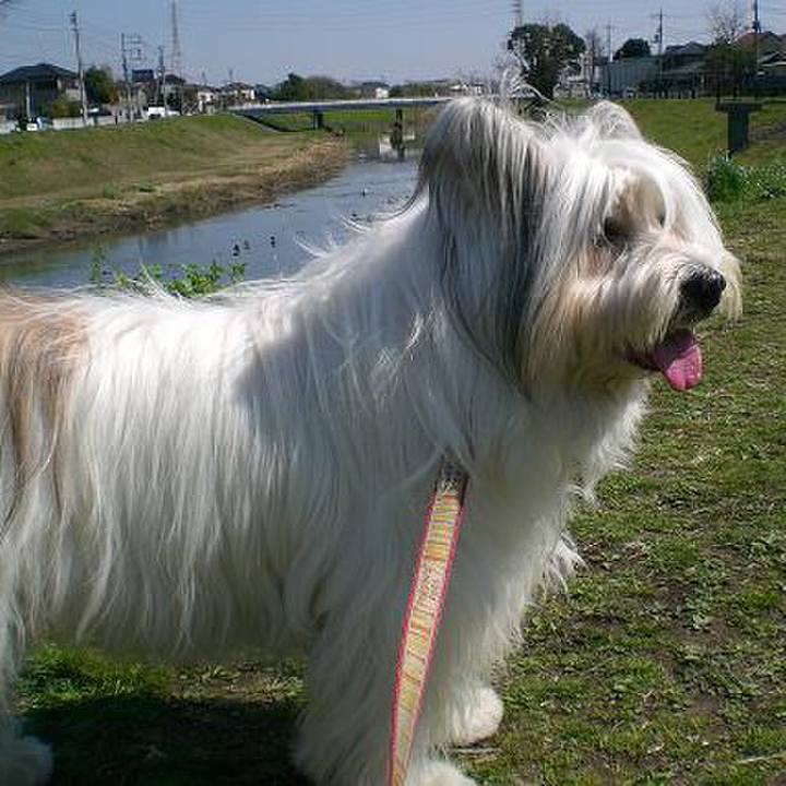 8d877379 d28d 4e36 9991 f16abf2ddfc1