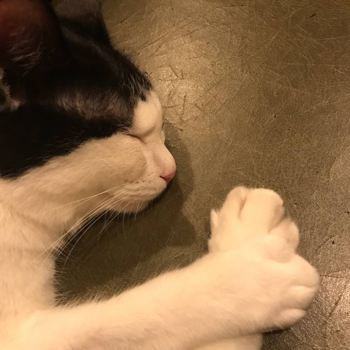 8d878b89 2ad6 4e60 a134 d9279fab96f1