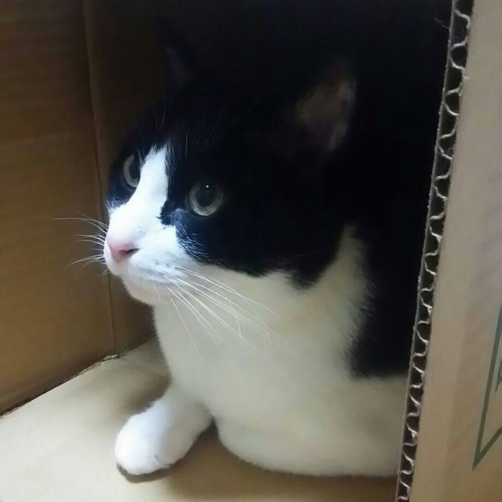 8d87eede 3f3d 4e6c 8d14 08a731626a97