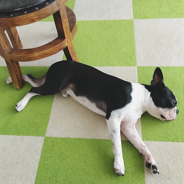 8d87ff80 0513 40e5 a08d f584513e9b69