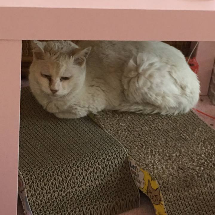 8d889abc 02cc 47a1 b698 08b19b470e75