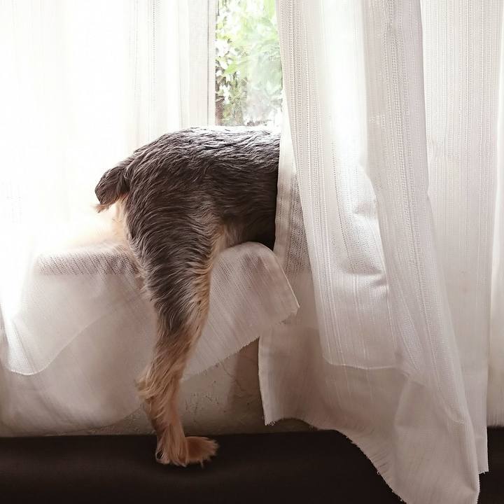 8d88bc83 1cc7 4d9a 8d6a 3aa4f41ecb71