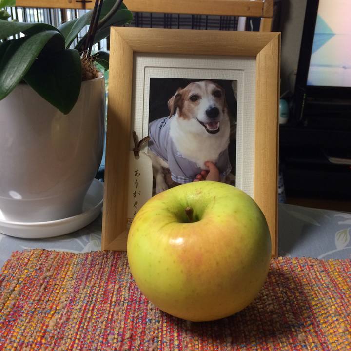 8d893424 aab5 446a abe0 da5dfc6039e7