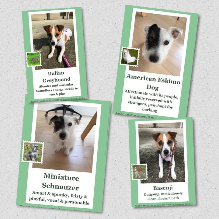 8d893549 3f1e 4317 8148 7aeee28d13f3