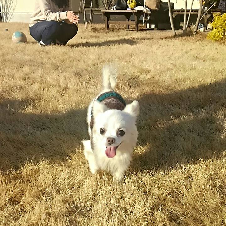 8d89d56b 4cb5 4c4d b34a 8b5c6a4cc7c0