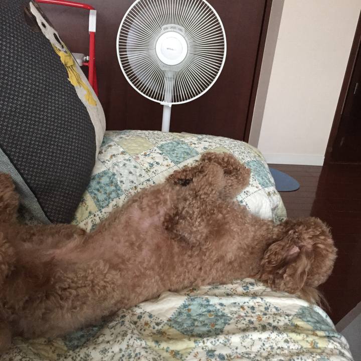 8d8a1322 8123 47a6 9f33 8f6a724a84ee