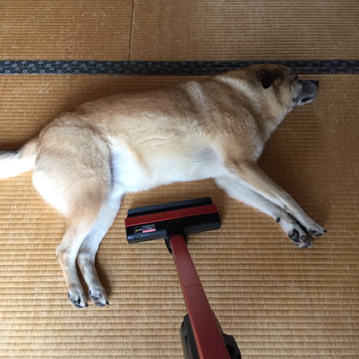 8d8a2d74 5adb 406b b474 983587a67977