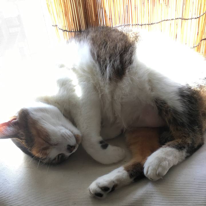 8d8a61f2 ef6d 40e7 9d5c 3749a3fb6b1a