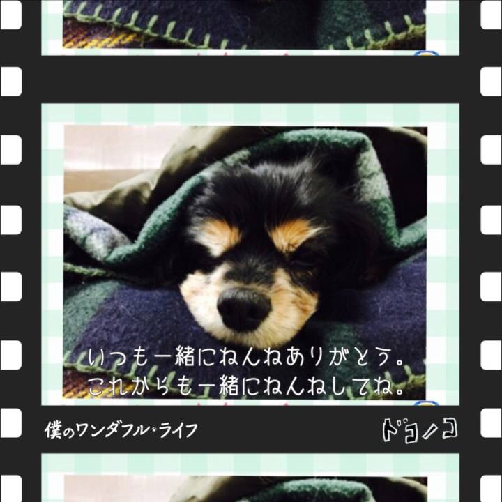 8d8a8c81 5e8a 4034 bdd4 5a1646de5c03