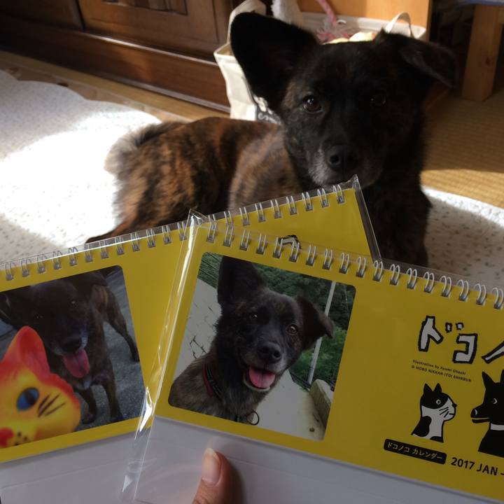 8d8acf0f f20f 4699 a90f a13cc98cc24a