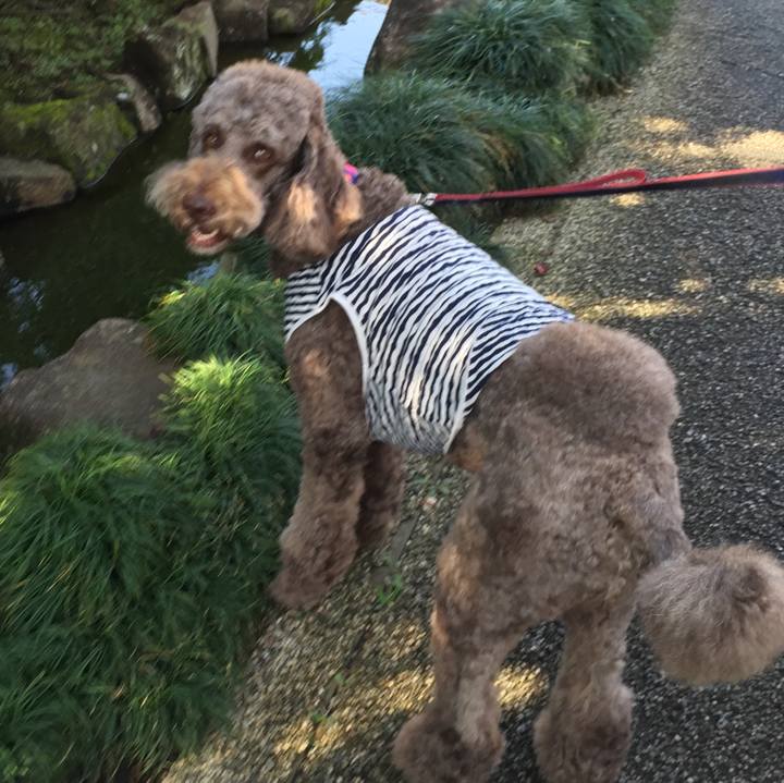 8d8ad849 60e8 4e71 a847 1d96924f0070