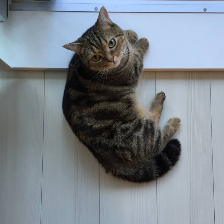 8d8ba5a0 a98b 4871 b266 9084f5acf146