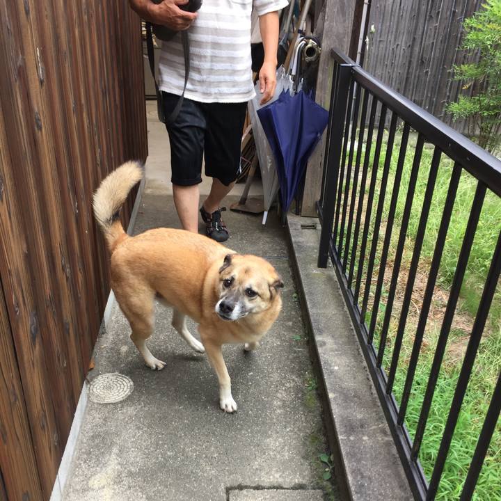 8d8c5e9a 90fc 4db9 89ba 2f9f07fb59bd