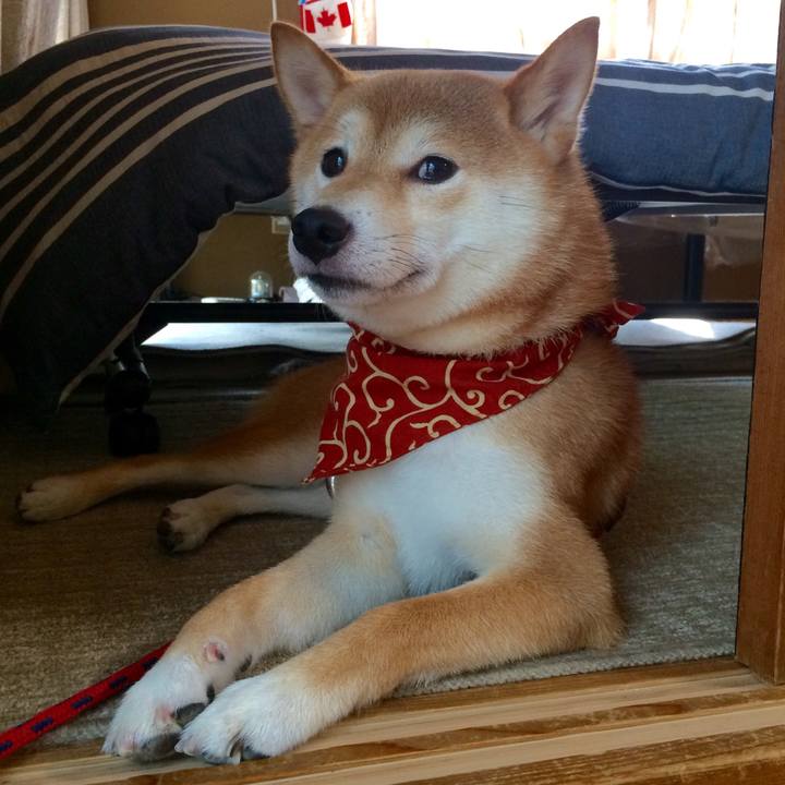 8d8cb232 b2fe 49b8 910f 6ec57394e0c2