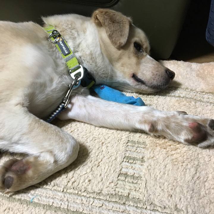 8d8d5ace e7ee 4e30 9fef 3d27e8fed58e