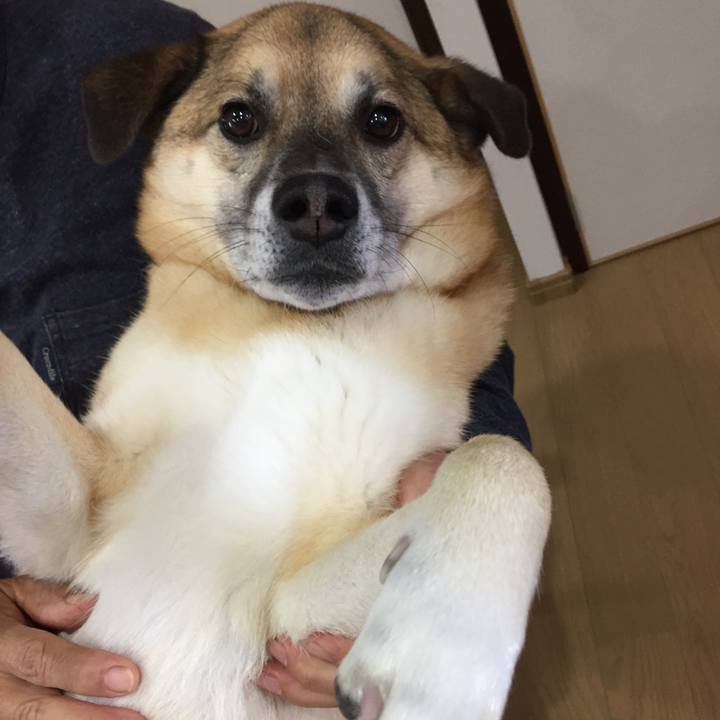 8d8d893d cc17 4c89 890f 8cb17aed7ca2