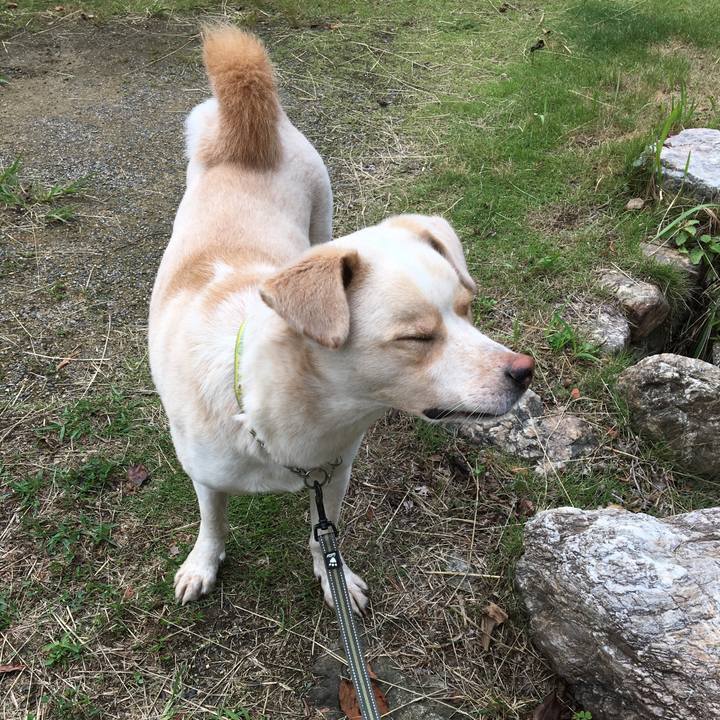 8d8e2be8 7948 42e4 aae0 d22ae9dc4dbc