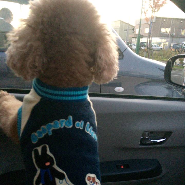 8d8ea53a ebdb 49bb 88c6 02b549ce9157