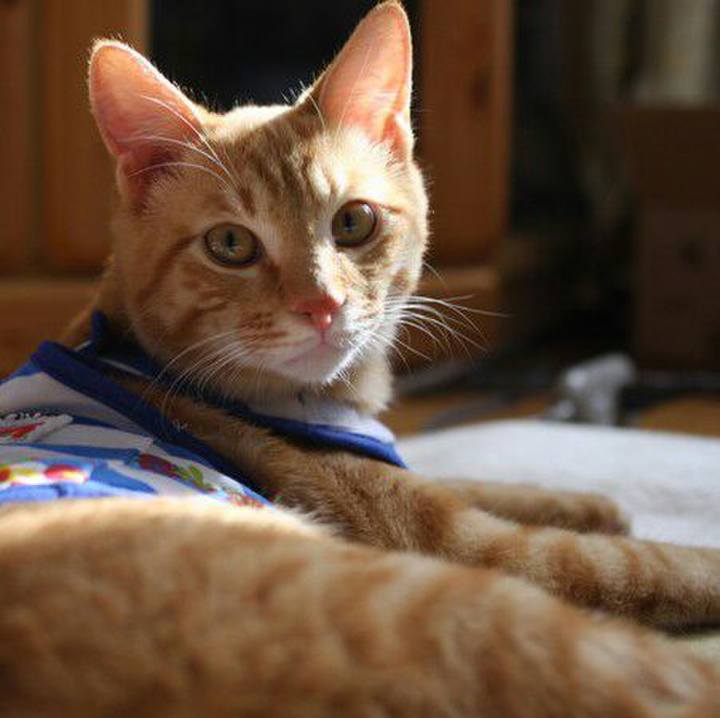 8d8eddae d5bb 4391 8218 c6eb7580dfd3