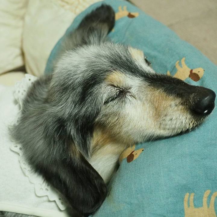 8d8f124b 043a 4f6f bd25 6ec9ebd8e077