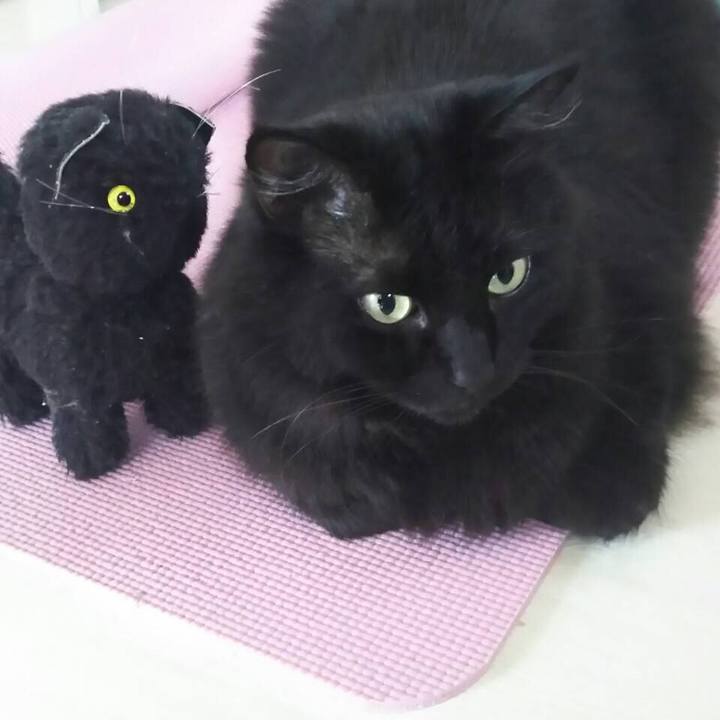 8d900be1 47c7 4086 93c8 eb9dcd1cbe28