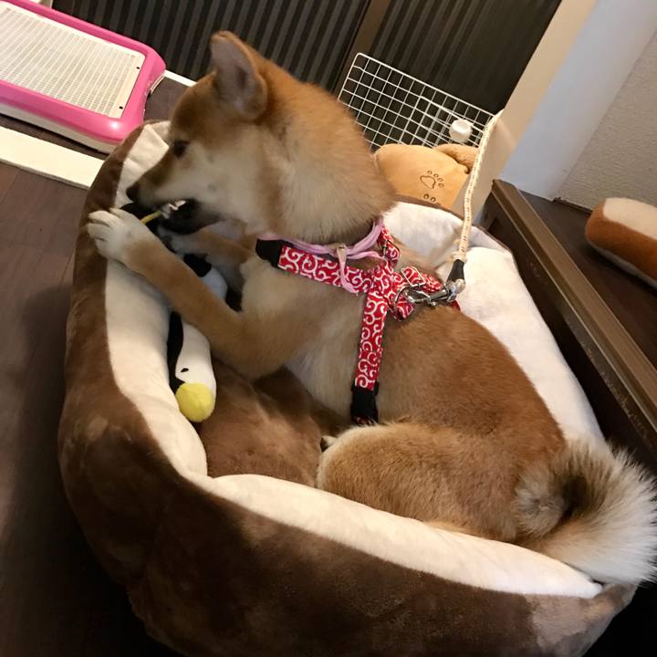 8d901228 57c4 4502 ac4c dd52bc1be411