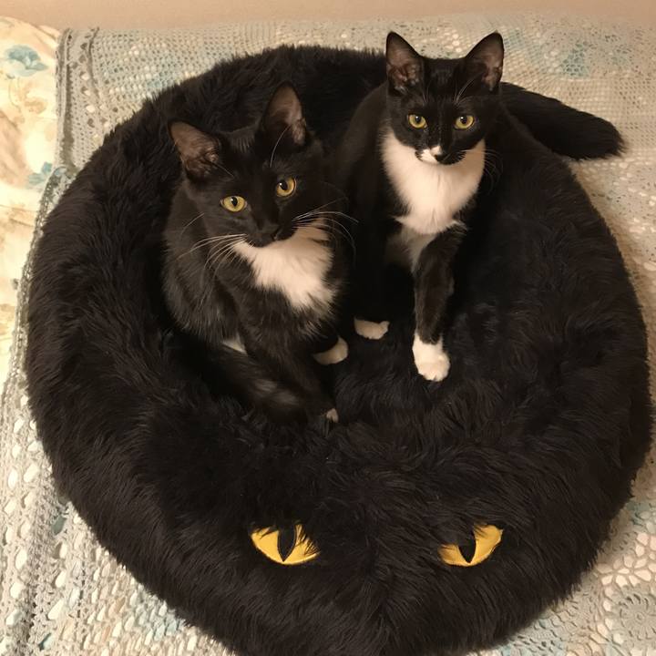 8d90455c 78e8 4933 aa38 0f38e8649a25