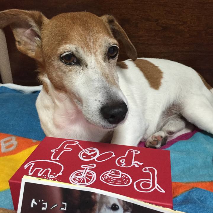 8d90f0b6 6e86 4951 b66f 0771a3173e98