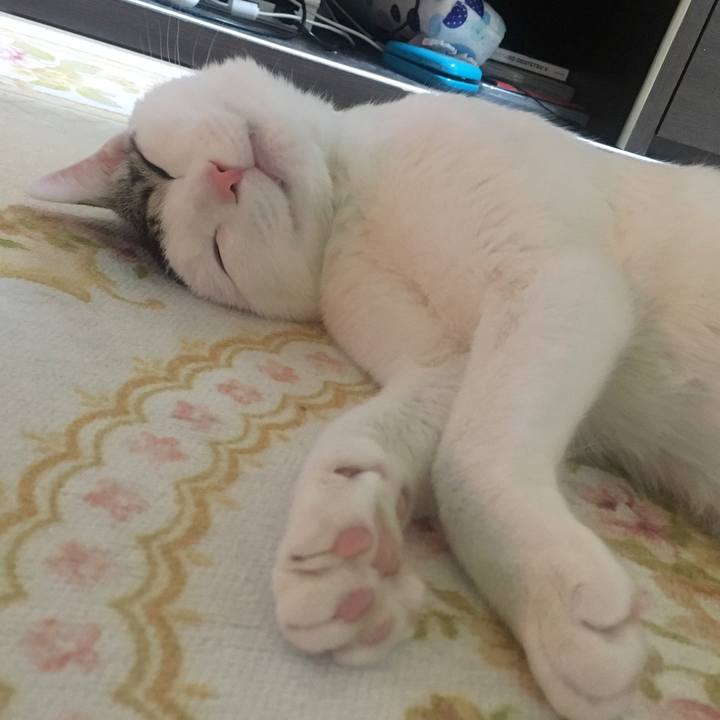 8d911647 d2b1 4d9b 8bbc e86fd14e5496