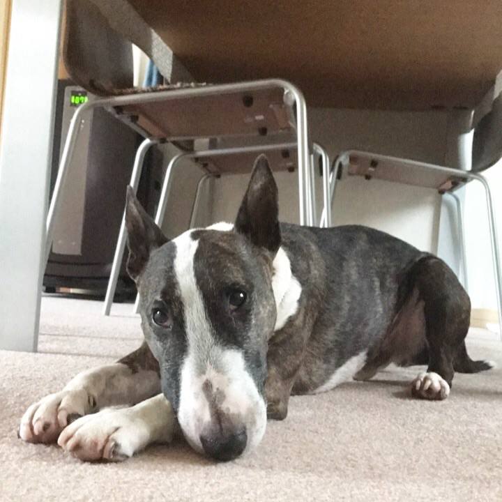 8d91a1db 666e 4145 a4b5 0fd4687a31e2